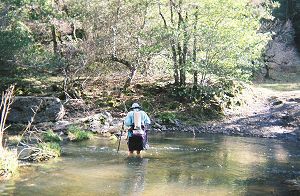 Joy crossing the Middle Fork of Coyote Creek at Hobbs Road