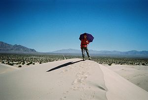 Joy on a dune summit with the road in the background