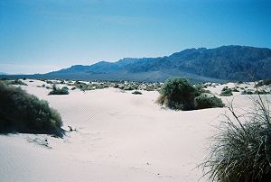 sandy field with brush-covered knobs