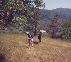 Sandy descending Jackass Trail