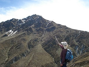 Ben Lomond from a distance
