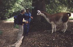 I better keep a distance; you might saddle me with those heavy day-packs of yours